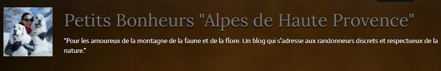 Petits Bonheurs