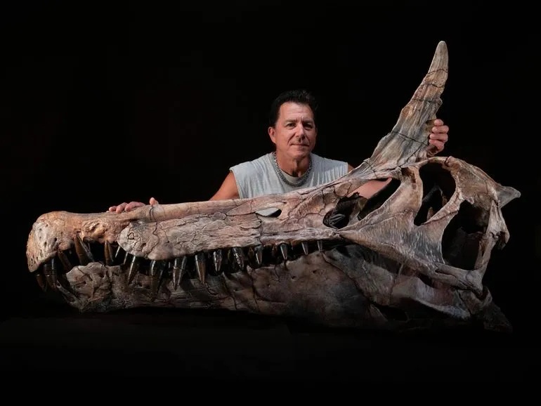 Le Paleontologue Paul Sereno pose devant un crâne