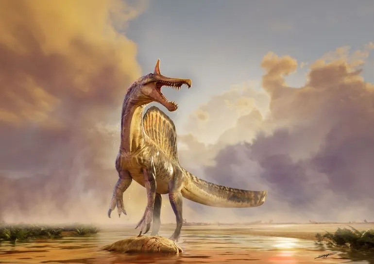 Image représentant le Spinosaurus mirabilis